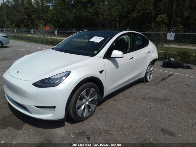 Photo 1 VIN: 5YJYGDEE7MF199369 - TESLA MODEL Y 