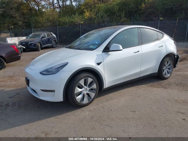 Photo 1 VIN: 5YJYGDEE7MF208748 - TESLA MODEL Y 