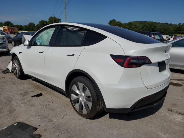 Photo 1 VIN: 5YJYGDEE7MF232158 - TESLA MODEL Y 