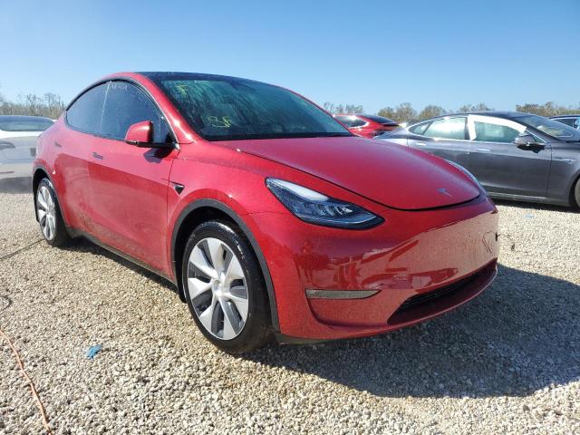 Photo 0 VIN: 5YJYGDEE7MF246982 - TESLA MODEL Y 