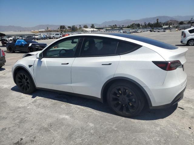 Photo 1 VIN: 5YJYGDEE7MF260901 - TESLA MODEL Y 