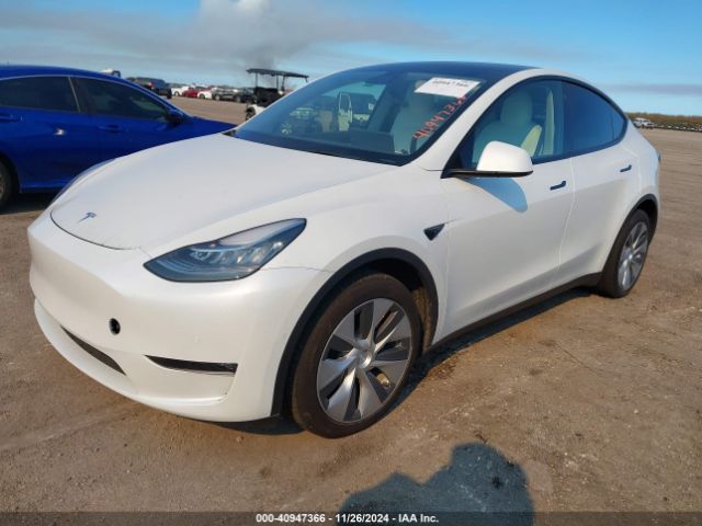 Photo 1 VIN: 5YJYGDEE7MF262440 - TESLA MODEL Y 