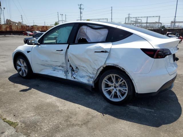 Photo 1 VIN: 5YJYGDEE7MF282087 - TESLA MODEL Y 