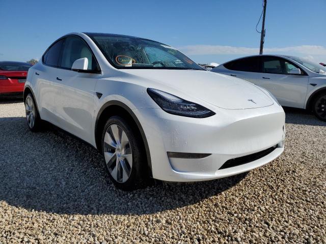 Photo 0 VIN: 5YJYGDEE7MF283532 - TESLA MODEL Y 