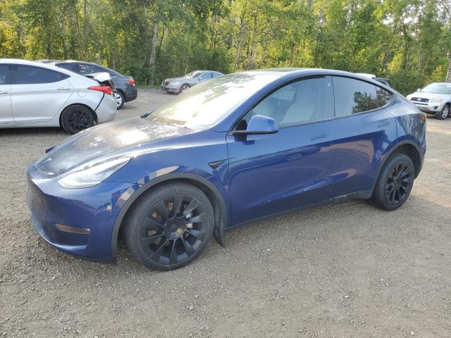 Photo 0 VIN: 5YJYGDEE7MF302791 - TESLA MODEL Y 