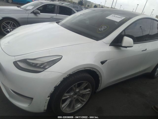 Photo 1 VIN: 5YJYGDEE8LF006791 - TESLA MODEL Y 