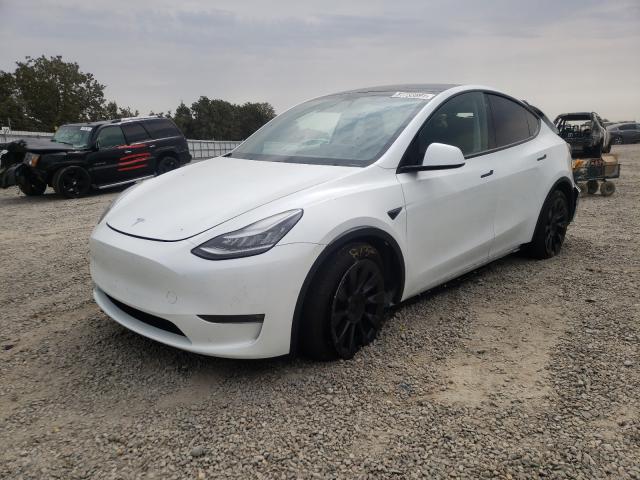 Photo 1 VIN: 5YJYGDEE8LF008606 - TESLA MODEL Y 