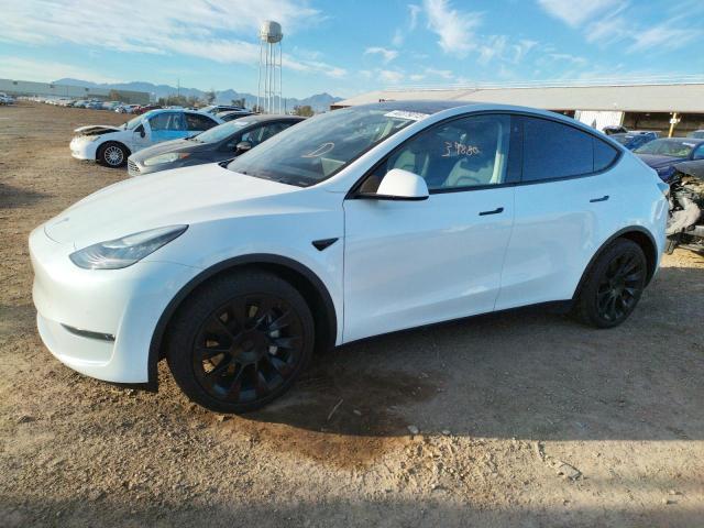 Photo 0 VIN: 5YJYGDEE8LF043162 - TESLA MODEL Y 