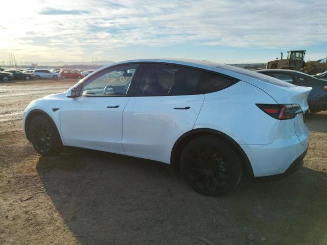 Photo 1 VIN: 5YJYGDEE8LF043162 - TESLA MODEL Y 