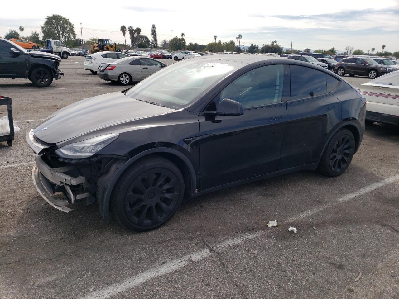 Photo 0 VIN: 5YJYGDEE8LF052301 - TESLA MODEL Y 