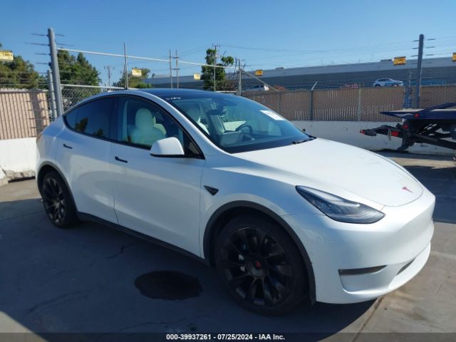 Photo 0 VIN: 5YJYGDEE8LF056249 - TESLA MODEL Y 