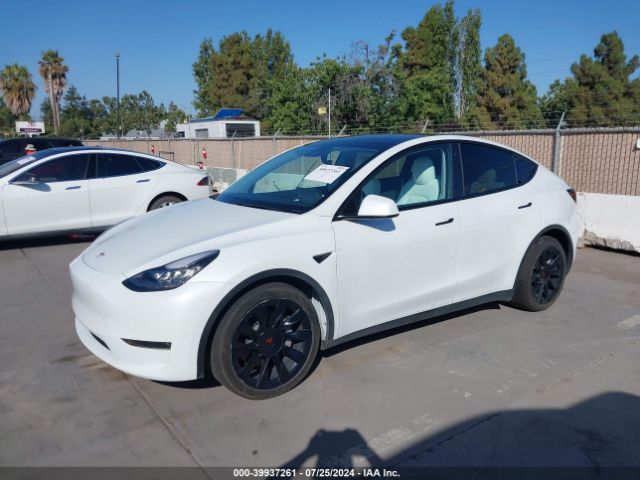 Photo 1 VIN: 5YJYGDEE8LF056249 - TESLA MODEL Y 