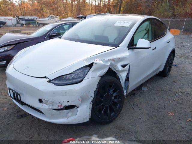 Photo 1 VIN: 5YJYGDEE8MF075417 - TESLA MODEL Y 