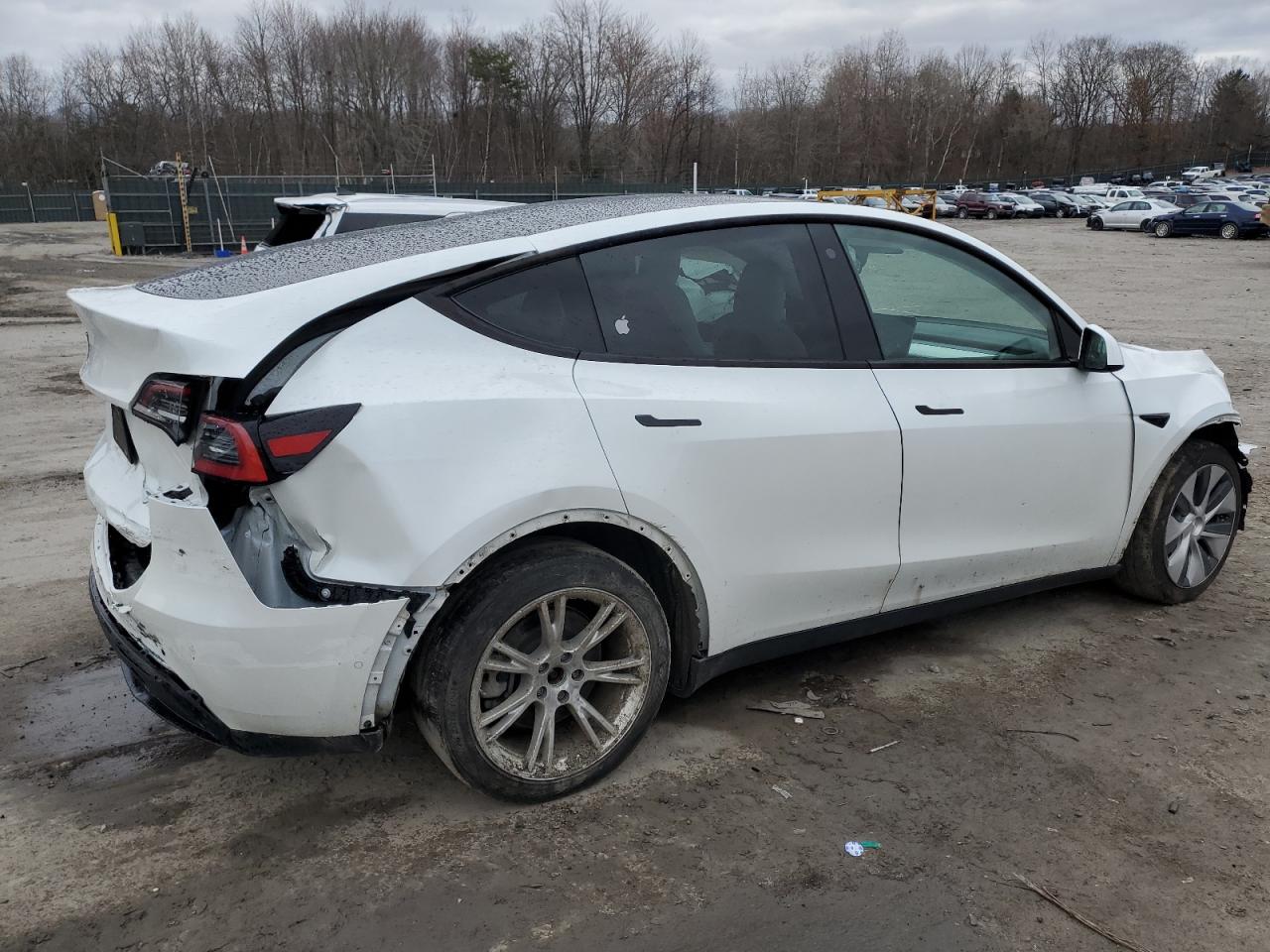 Photo 2 VIN: 5YJYGDEE8MF081301 - TESLA MODEL Y 