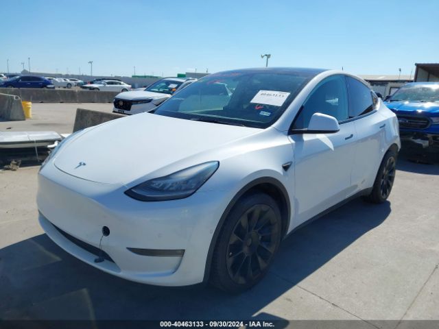 Photo 1 VIN: 5YJYGDEE8MF192169 - TESLA MODEL Y 