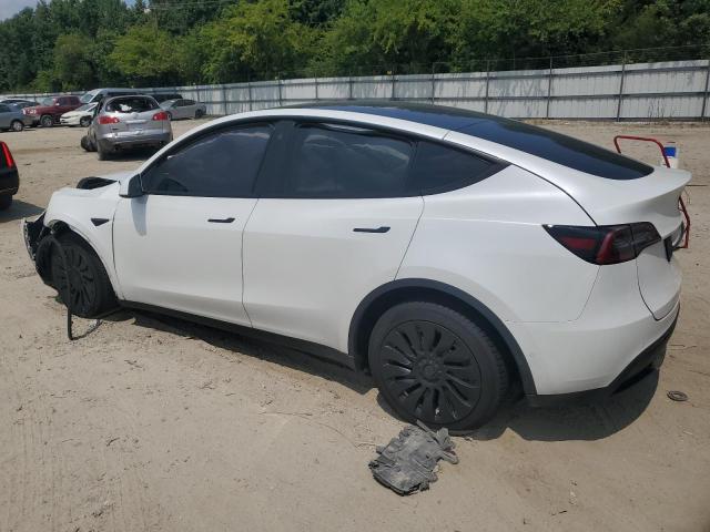 Photo 1 VIN: 5YJYGDEE8MF194486 - TESLA MODEL Y 