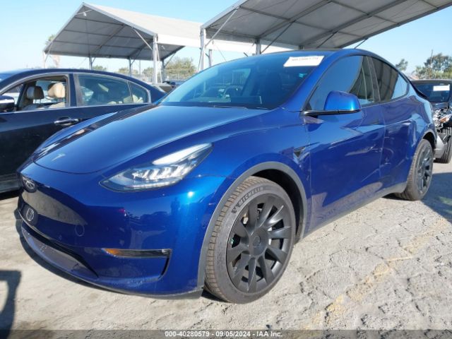 Photo 1 VIN: 5YJYGDEE8MF207169 - TESLA MODEL Y 