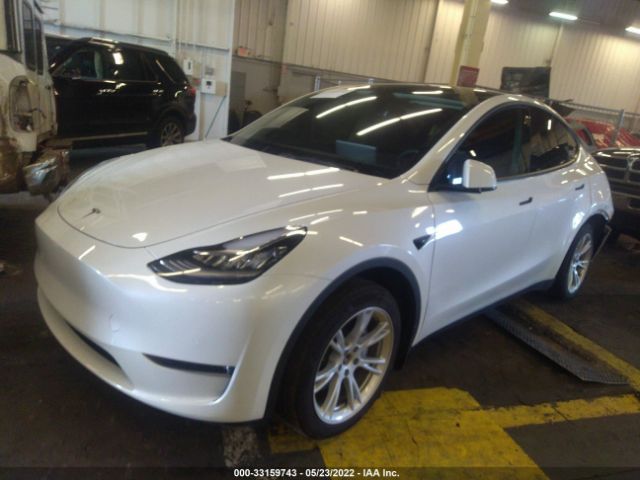 Photo 1 VIN: 5YJYGDEE8MF214199 - TESLA MODEL Y 