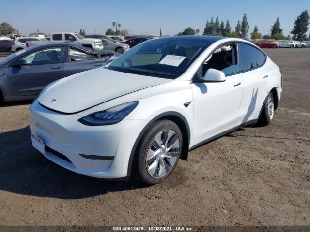 Photo 1 VIN: 5YJYGDEE8MF219189 - TESLA MODEL Y 
