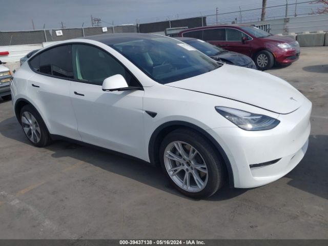 Photo 0 VIN: 5YJYGDEE8MF229768 - TESLA MODEL Y 