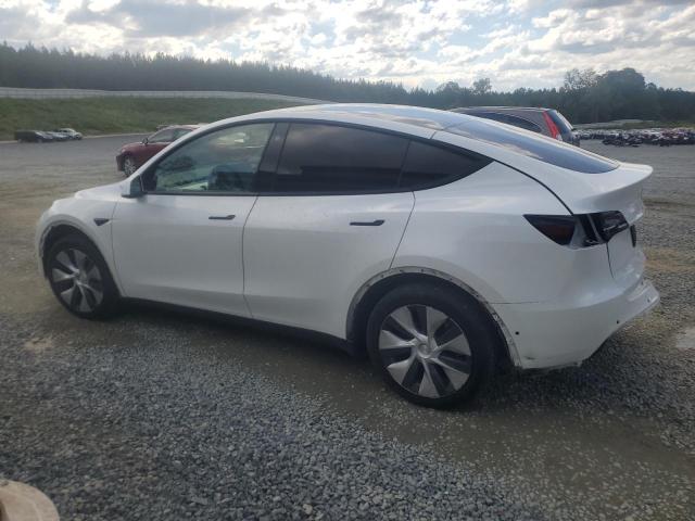 Photo 1 VIN: 5YJYGDEE8MF256825 - TESLA MODEL Y 