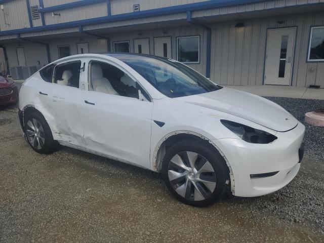 Photo 3 VIN: 5YJYGDEE8MF256825 - TESLA MODEL Y 