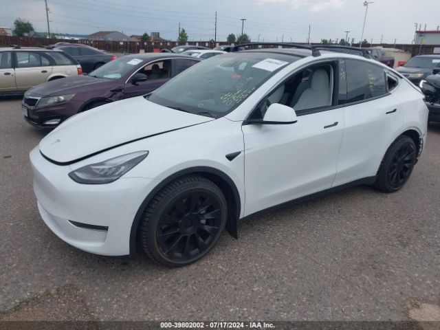 Photo 1 VIN: 5YJYGDEE8MF266500 - TESLA MODEL Y 