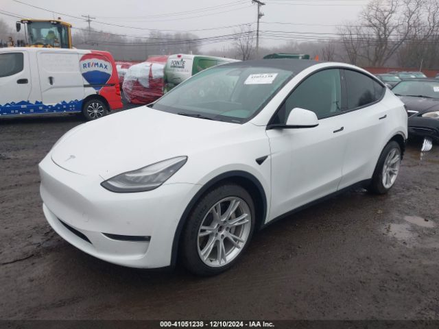 Photo 1 VIN: 5YJYGDEE8MF300242 - TESLA MODEL Y 