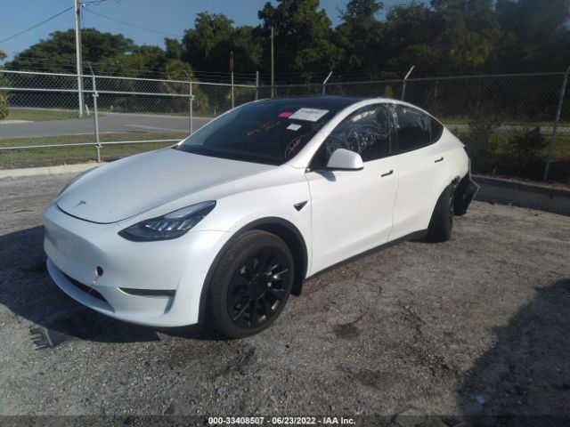 Photo 1 VIN: 5YJYGDEE8MF311399 - TESLA MODEL Y 