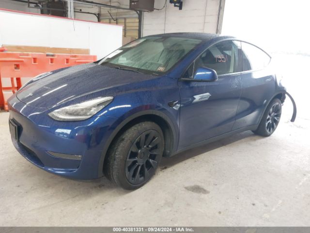 Photo 1 VIN: 5YJYGDEE9LF038228 - TESLA MODEL Y 