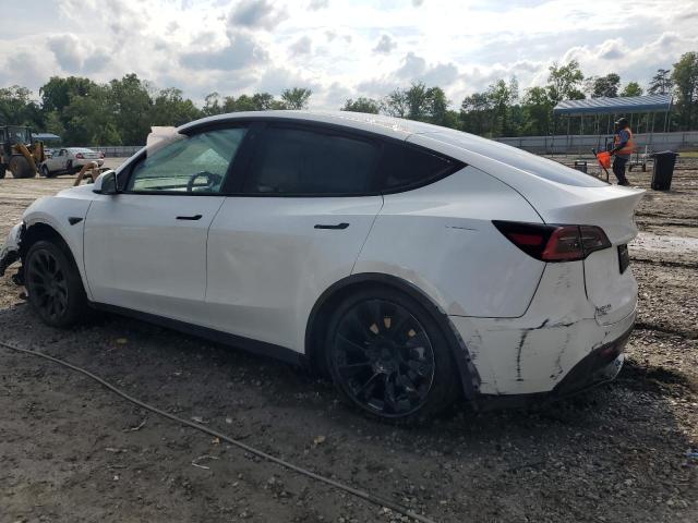 Photo 1 VIN: 5YJYGDEE9LF046393 - TESLA MODEL Y 