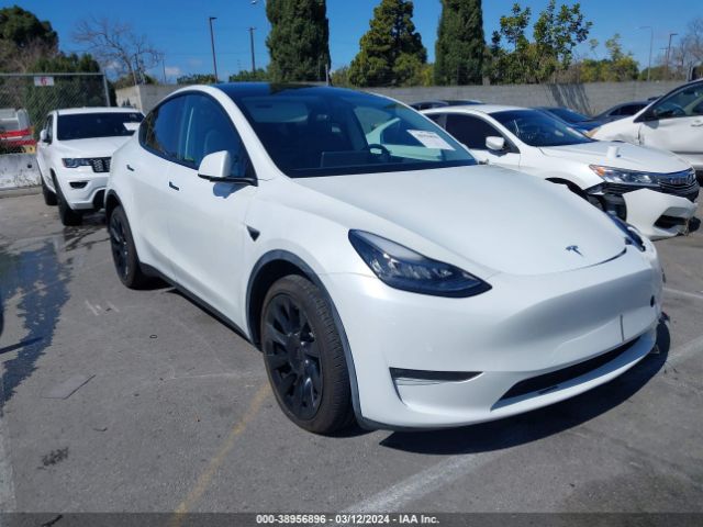 Photo 0 VIN: 5YJYGDEE9LF058429 - TESLA MODEL Y 