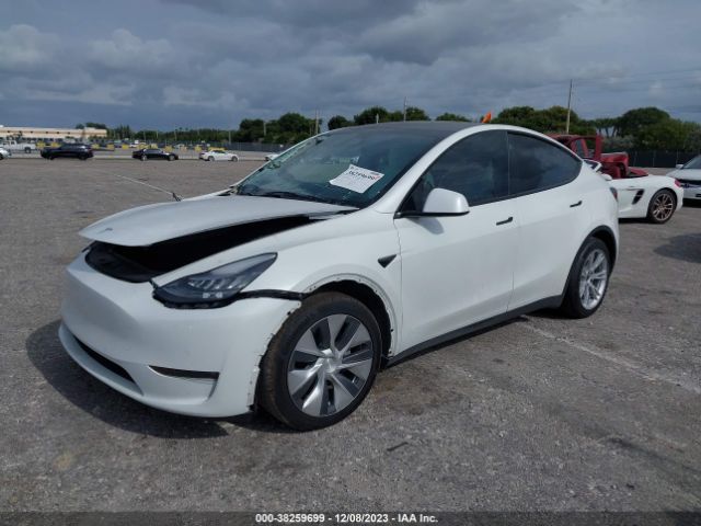 Photo 1 VIN: 5YJYGDEE9MF066970 - TESLA MODEL Y 