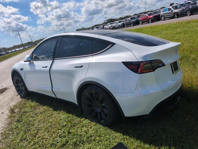 Photo 1 VIN: 5YJYGDEE9MF074647 - TESLA MODEL Y 