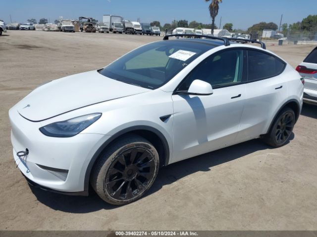 Photo 1 VIN: 5YJYGDEE9MF084742 - TESLA MODEL Y 