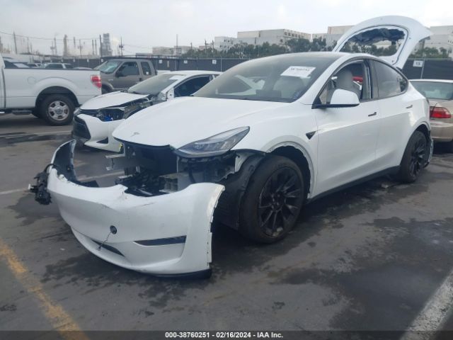 Photo 1 VIN: 5YJYGDEE9MF095837 - TESLA MODEL Y 