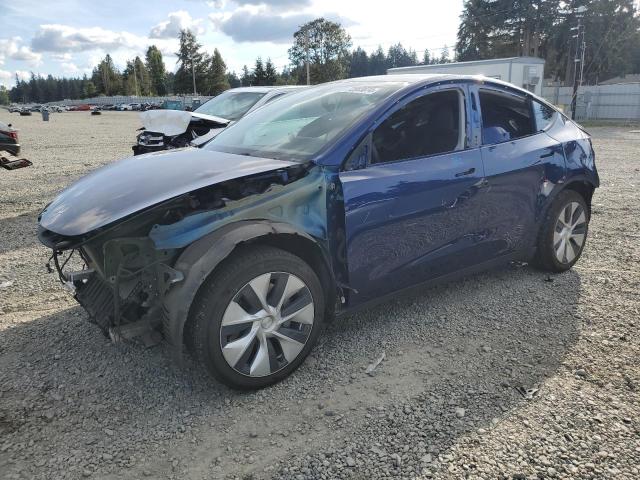 Photo 0 VIN: 5YJYGDEE9MF117609 - TESLA MODEL Y 