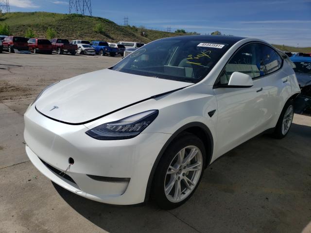 Photo 1 VIN: 5YJYGDEE9MF119196 - TESLA MODEL Y 