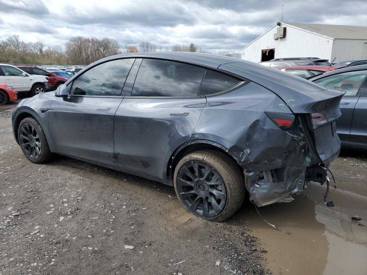 Photo 1 VIN: 5YJYGDEE9MF192455 - TESLA MODEL Y 