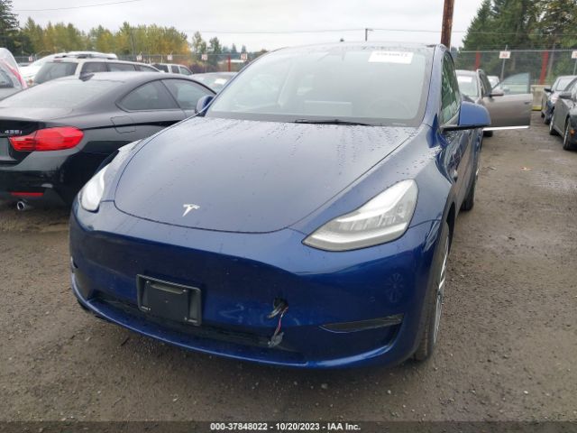 Photo 1 VIN: 5YJYGDEE9MF241153 - TESLA MODEL Y 