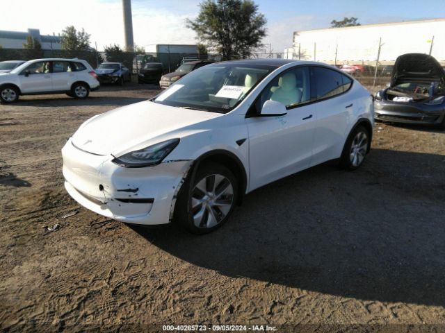 Photo 1 VIN: 5YJYGDEE9MF303439 - TESLA MODEL Y 