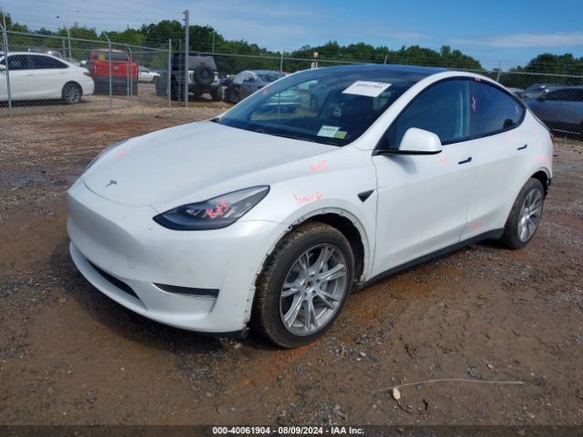 Photo 1 VIN: 5YJYGDEEXLF006193 - TESLA MODEL Y 