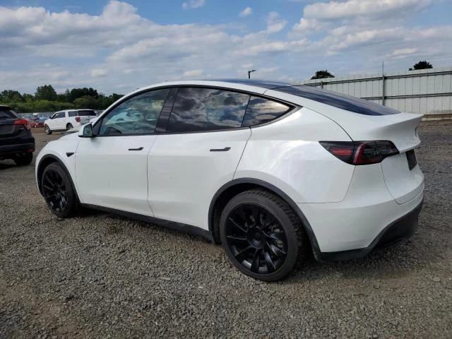 Photo 1 VIN: 5YJYGDEEXLF011250 - TESLA MODEL Y 