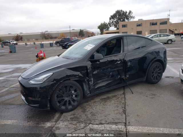 Photo 1 VIN: 5YJYGDEEXLF022796 - TESLA MODEL Y 