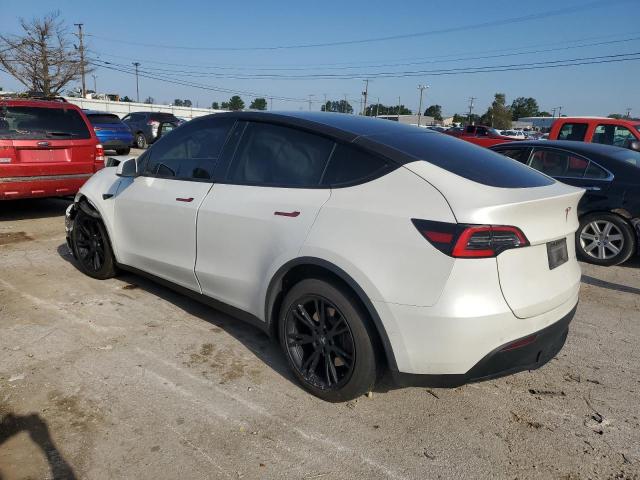 Photo 1 VIN: 5YJYGDEEXLF038271 - TESLA MODEL Y 