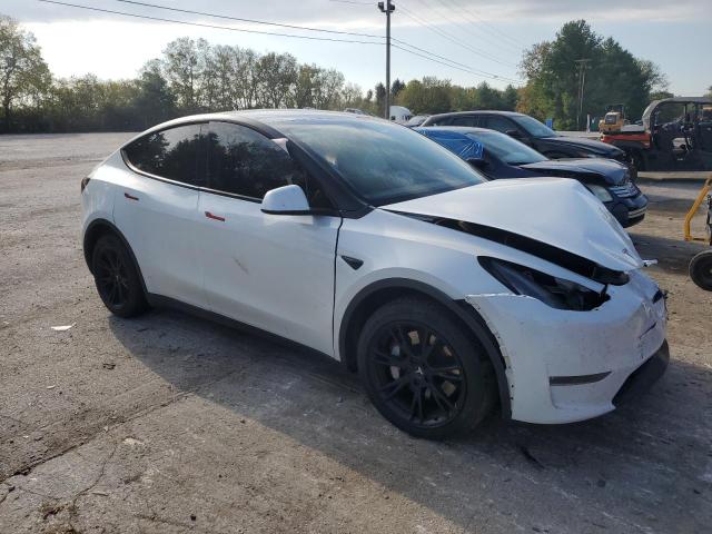 Photo 3 VIN: 5YJYGDEEXLF038271 - TESLA MODEL Y 