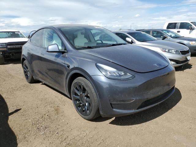 Photo 0 VIN: 5YJYGDEEXLF053062 - TESLA MODEL Y 