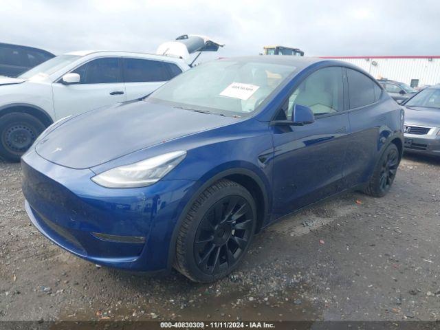 Photo 1 VIN: 5YJYGDEEXMF080599 - TESLA MODEL Y 