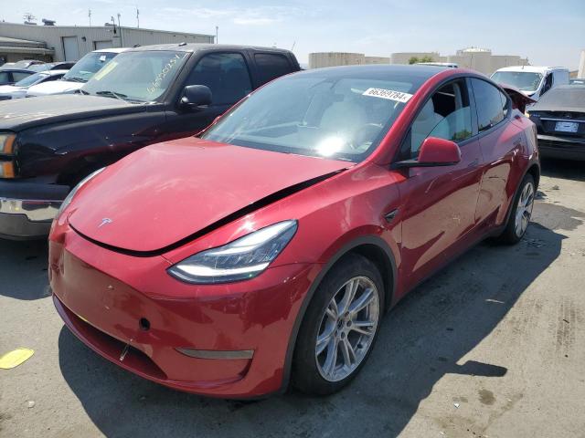 Photo 0 VIN: 5YJYGDEEXMF095961 - TESLA MODEL Y 