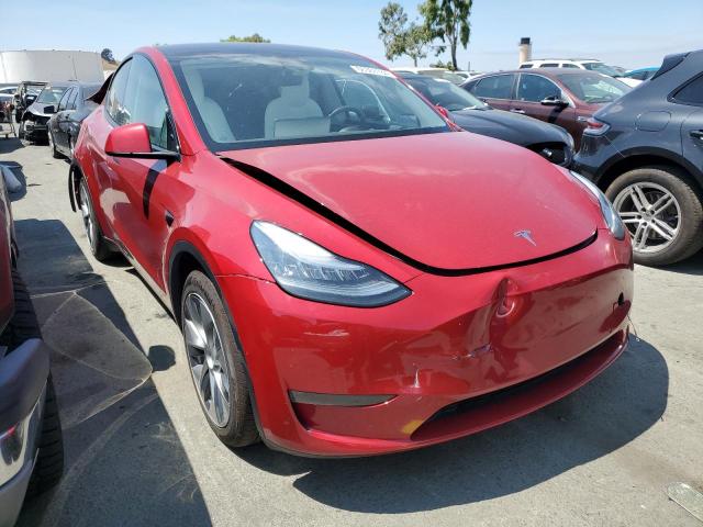 Photo 3 VIN: 5YJYGDEEXMF095961 - TESLA MODEL Y 